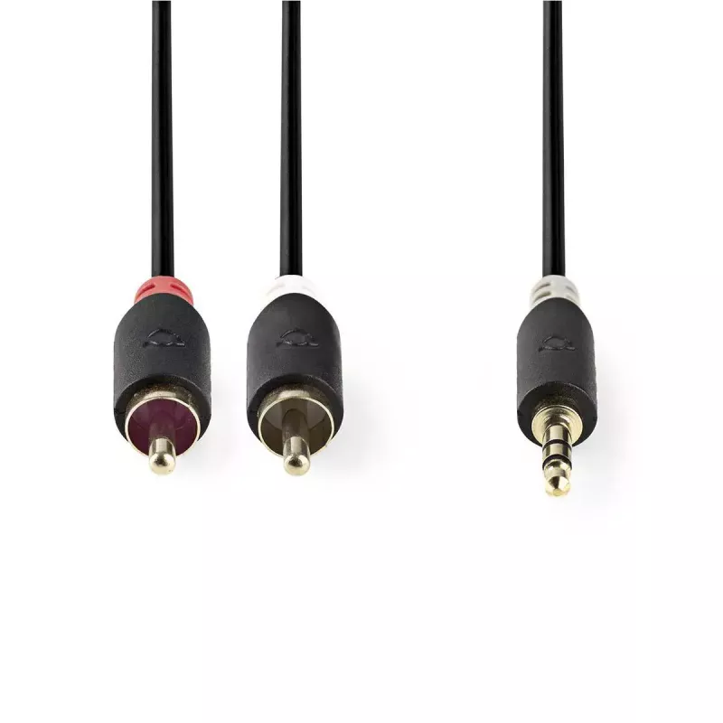 Garso kabelis Nedis CABW22200AT20 2m 3.5mm 2 x RCA antracitinis