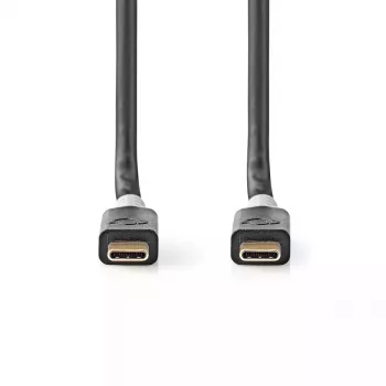USB laidas Nedis CCBW64020AT20 USB4 Gen 2x2 2 m USB C juodas sidabrinis