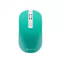 Belaidė optinė pelė Canyon CNS-CMSW18A RF, žalia/balta