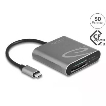 Card Reader DeLOCK 91000 USB 3.2 Gen 2 Type-C Pilka CFexpress SD
