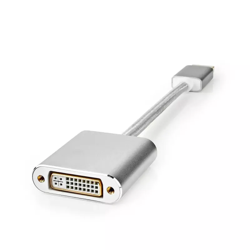 Nedis CCTB37250AL02 vaizdo kabelio adapteris 0,2 m DisplayPort į DVI-D sidabrinis