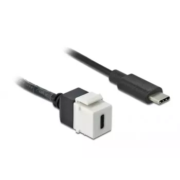 Keystone modulis DeLOCK 86399 plokščias USB C juodas baltas