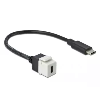 Keystone modulis DeLOCK 86399 plokščias USB C juodas baltas