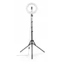 LED žiedo šviesa Hama SpotLight Steady 120 III 160 LED 1020 lm 3000 K