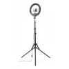 LED žiedo šviesa Hama SpotLight Steady 120 III 160 LED 1020 lm 3000 K