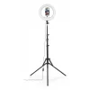 LED žiedo šviesa Hama SpotLight Steady 120 III 160 LED 1020 lm 3000 K