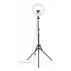 LED žiedo šviesa Hama SpotLight Steady 120 III 160 LED 1020 lm 3000 K