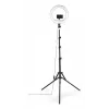 LED žiedo šviesa Hama SpotLight Steady 120 III 160 LED 1020 lm 3000 K