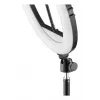LED žiedo šviesa Hama SpotLight Steady 120 III 160 LED 1020 lm 3000 K