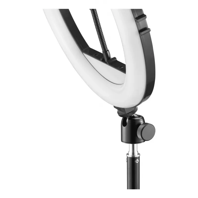 LED žiedo šviesa Hama SpotLight Steady 120 III 160 LED 1020 lm 3000 K