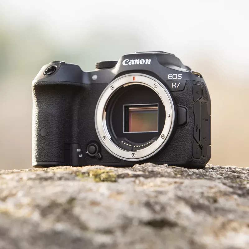 Canon EOS R7 bekorpusinis veidrodinis fotoaparatas 32,5 MP CMOS 6960 x 4640 pikseliai juodas