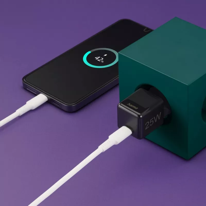 Hama 00201985 USB-C greitasis sieninis įkroviklis 25 W juodas