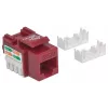 Intellinet Keystone Jack Cat6 UTP Punch-down, raudonas