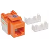 Intellinet Keystone Jack Cat6 UTP Punch-down Oranžinis