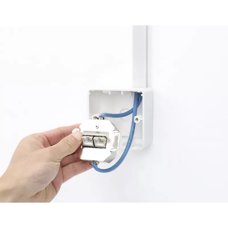 Intellinet paviršinio montavimo rozetė 771894 80x80x45mm Signal White RAL9003