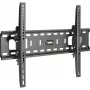 InLine 23117A sieninis laikiklis TFT LED Plasma 32-70 colių