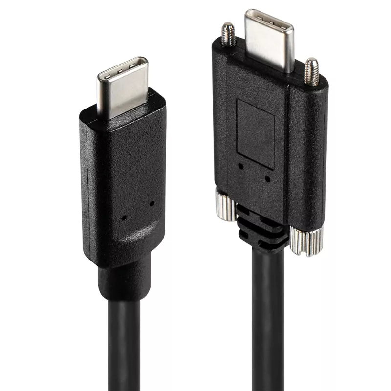 USB šakotuvas Lindy 4 prievadų USB 3.2 Gen 2 Type C metalinis