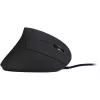 Pelė Inter-Tech KM-206WR USB Type-A Optinė 2400 DPI