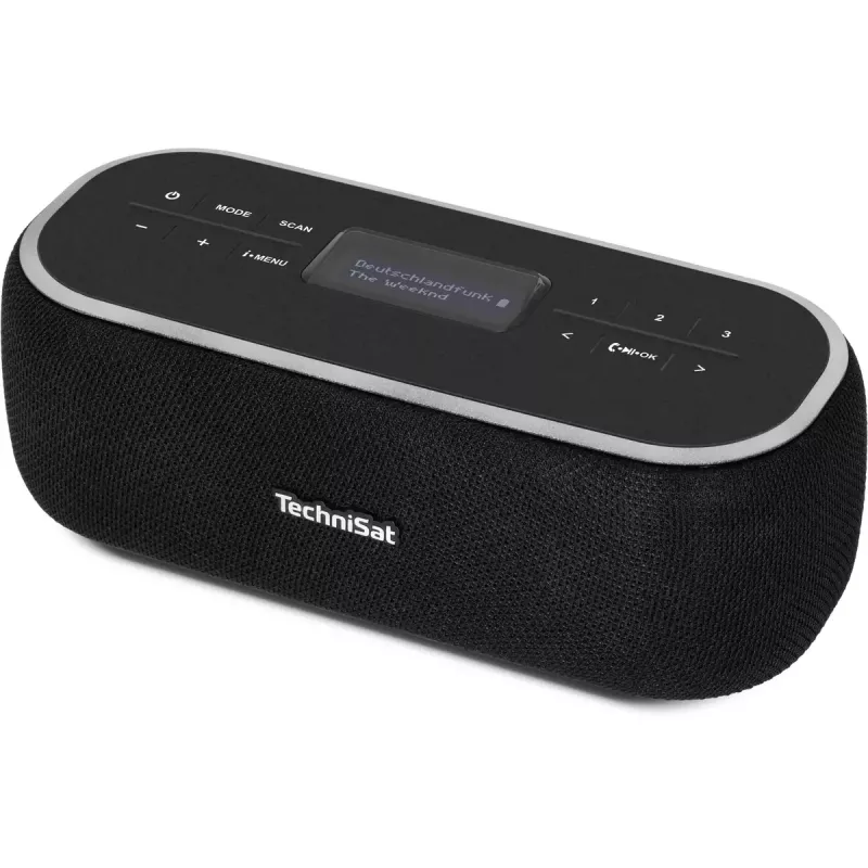 Nešiojamas radijas TechniSat 0000/3968