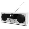 Radijo imtuvas TechniSat DIGITRADIO 451 CD IR