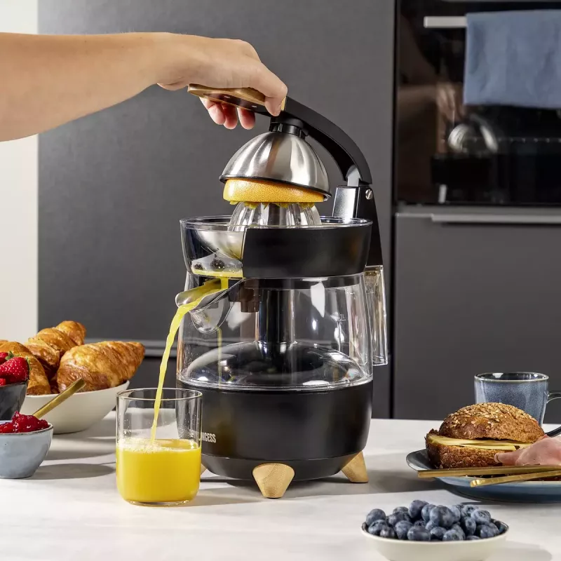 Citrinų spaudimo aparatas Princess 201862 juodas permatomas 1L 300W