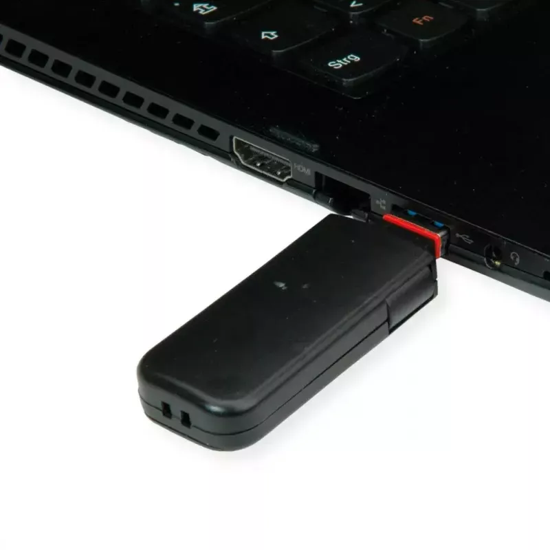 USB prievado raktas ROLINE 11.02.8331 (10 vnt.)