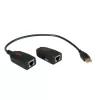 USB 2.0 prailgintuvas ROLINE 12.04.1100
