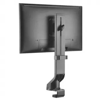 Monitoriaus laikiklis VALUE 17.99.1179