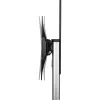InLine reguliuojamo aukščio televizoriaus vežimėlis, LED-TV 37–70 colių (94–178 cm), maks. 50 kg