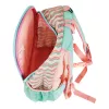 Kuprinė mokyklinė Herlitz Rookie Sweet Jungle Green Peach Polyester