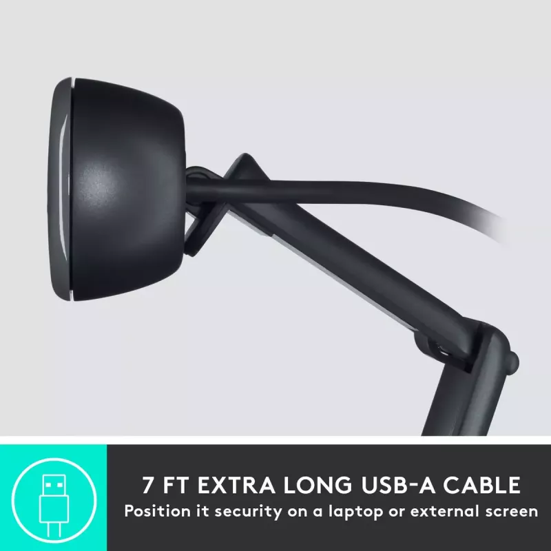 Internetinė kamera Logitech C505 HD 1280x720 USB juoda