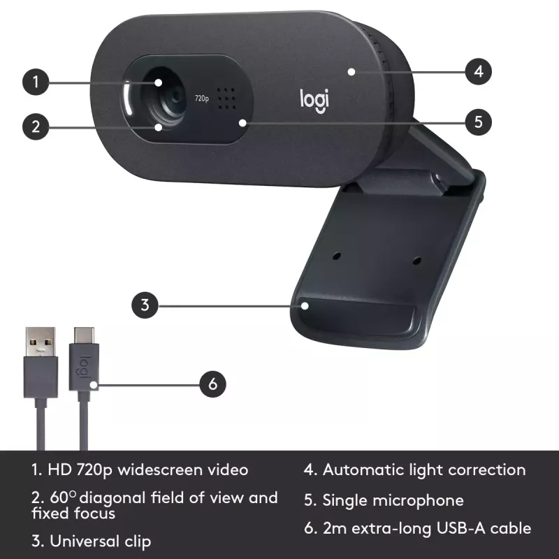 Internetinė kamera Logitech C505 HD 1280x720 USB juoda