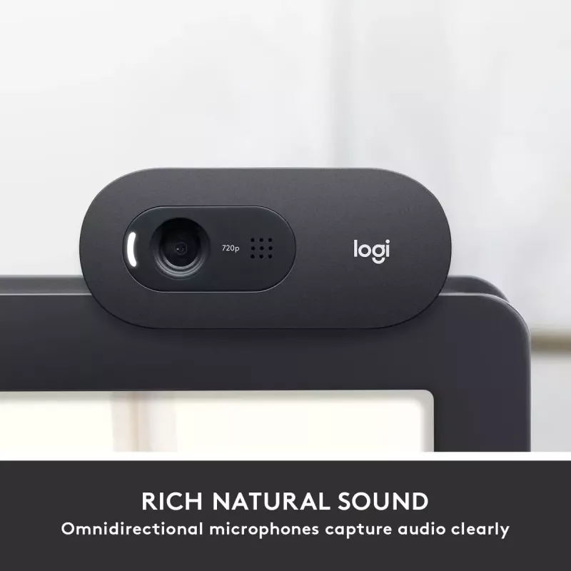 Internetinė kamera Logitech C505 HD 1280x720 USB juoda