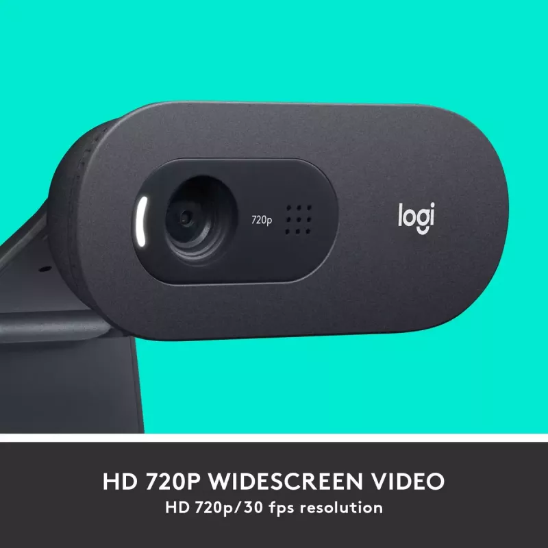 Internetinė kamera Logitech C505 HD 1280x720 USB juoda