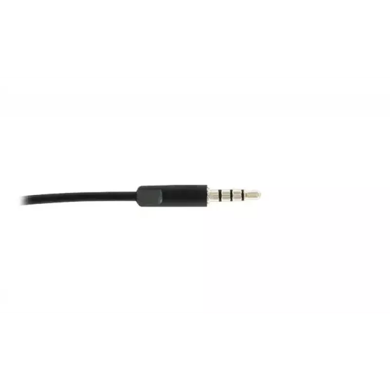 Ausinės Logitech H150 Stereo