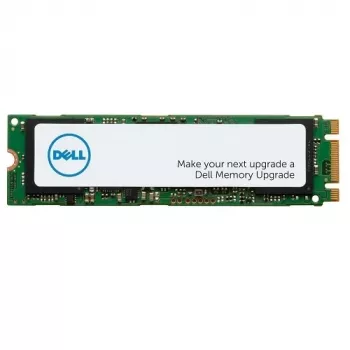 DELL AA615517 vidinis kietojo kūno diskas 256 GB M.2 Serial ATA