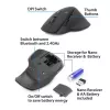 ACT belaidė pelė AC5146 su Bluetooth ir USB-A imtuvu, 2400 DPI, tyliu spragtelėjimu, ekologiška