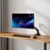 ACT monitorių laikiklis 49 colių Office Premium su dujine spyruokle, 1 monitoriui, tvirtinimas spaustuku / per stalą, 20 kg