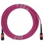 Skaidulinis optinis kabelis BlueOptics AV28-BO 15 m LC/APC OM4 MPO