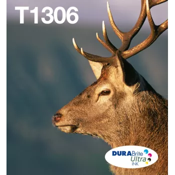 Kasečių rinkinys Epson T1306 DURABrite Ultra 3 spalvos (Cian, Magenta, Geltona) Didelės talpos (XL), 3 vnt.