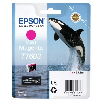 Rašalo kasetė Epson T7603 rausva (magenta)