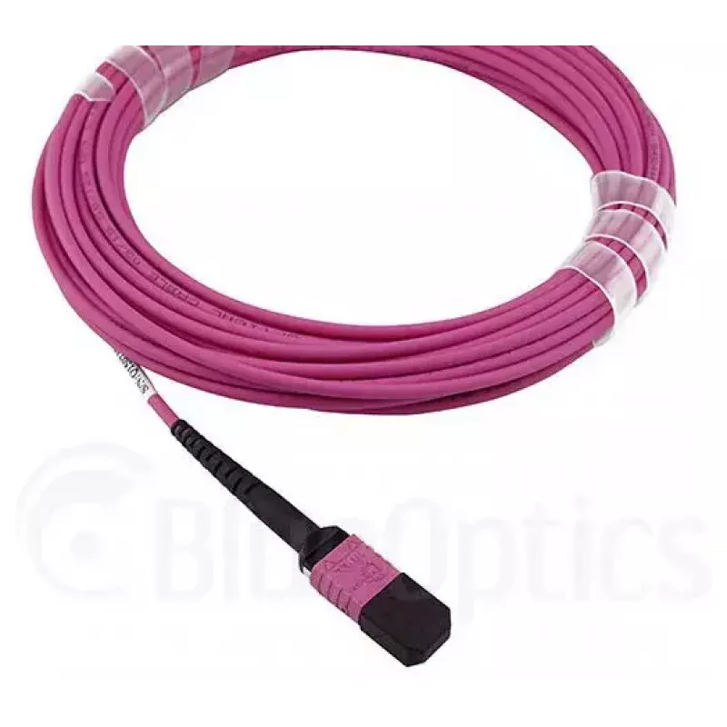 BlueOptics HH5CP InfiniBand/šviesolaidinis kabelis 3 m MPO 4x LC