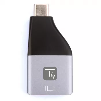 Techly IADAP USBC-DP4K USB-C į DisplayPort adapteris 4K 60Hz juodas/sidabrinis