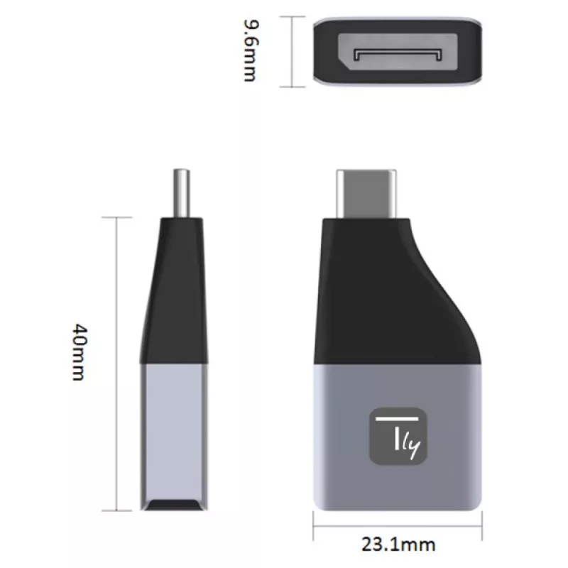 Techly IADAP USBC-DP4K USB-C į DisplayPort adapteris 4K 60Hz juodas/sidabrinis
