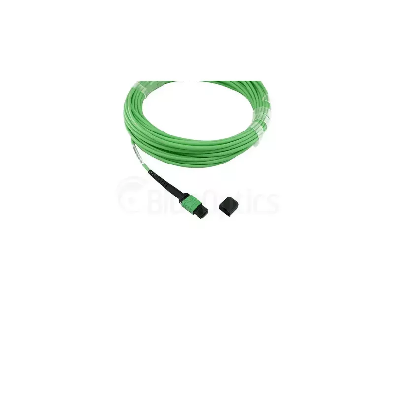 Šviesolaidinis kabelis BlueOptics SFP5141GU5MKB MPO 4x LC OM5 5m Lime