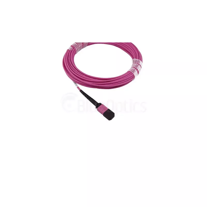 Šviesolaidinis kabelis BlueOptics SFP5252FU50MKB MPO OM4 50 m Violetinis