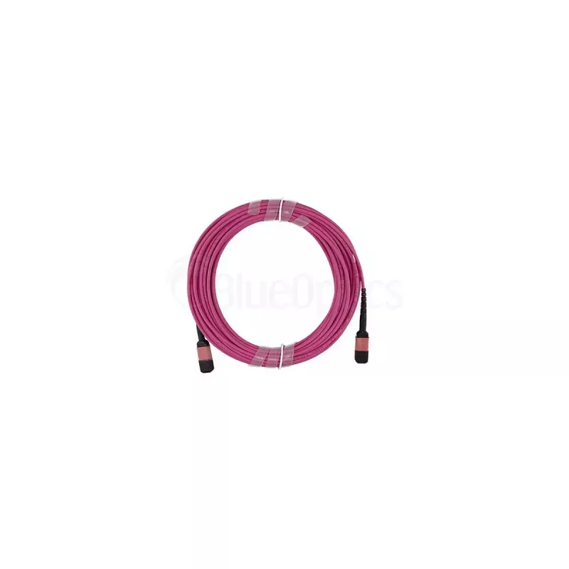 Šviesolaidinis kabelis BlueOptics SFP5252FU50MKB MPO OM4 50 m Violetinis