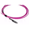 Skaidulinis optinis kabelis BlueOptics SFP9231FU5MK MDC LC OM4 5 m Magenta