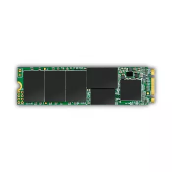 SSD diskas Transcend 256GB M.2 6 Gbit/s TS256GMTS832S