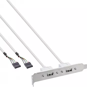 InLine Lango juostelė 2x USB 2.0 Type A moteriška į 2x 5 kontaktų vidinę jungtį 0,3 m
